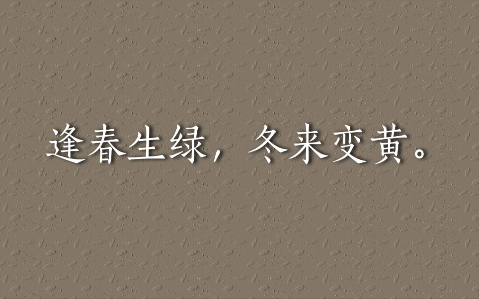 [图]盘点文人笔下的经典（感受文字的力量 ）| 第四期