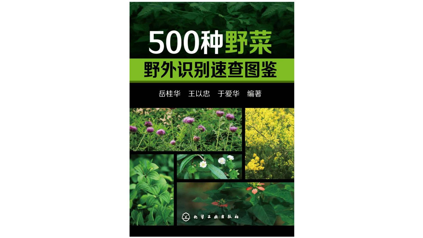 《500种野菜野外识别速查图鉴》电子书PDF哔哩哔哩bilibili