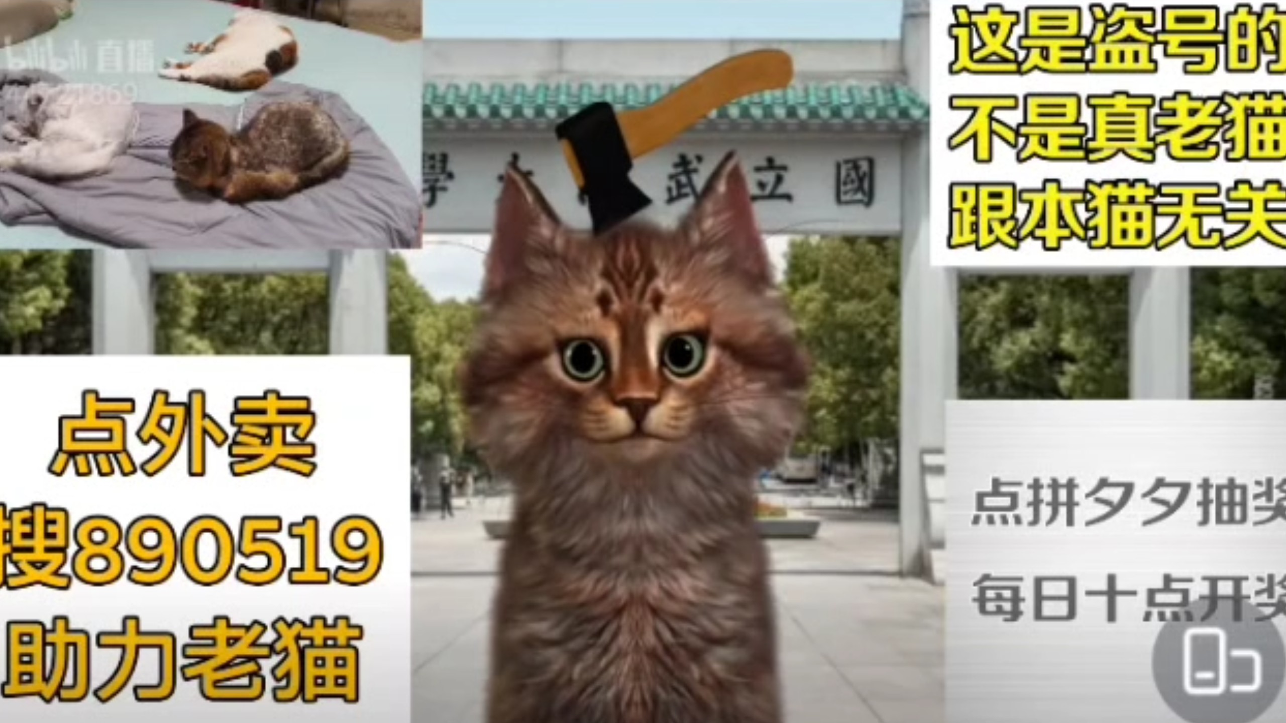 来哥岁月史书:胖东来咋老上热搜?到底是景点还是商场?老猫鱼不吃鱼261002直播_4