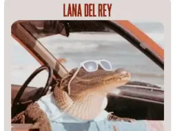 Download Video: 【Lana del rey】打雷姐结婚后诞生的meme