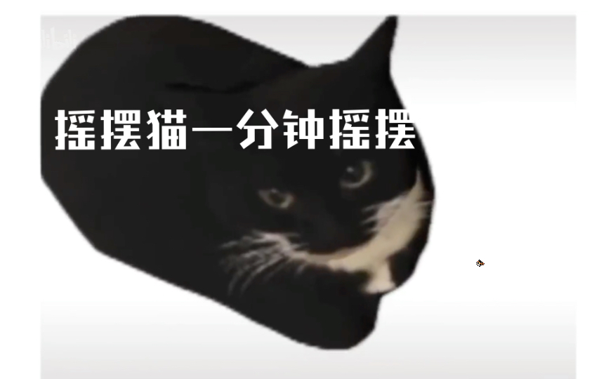 小猫摇摆表情包图片