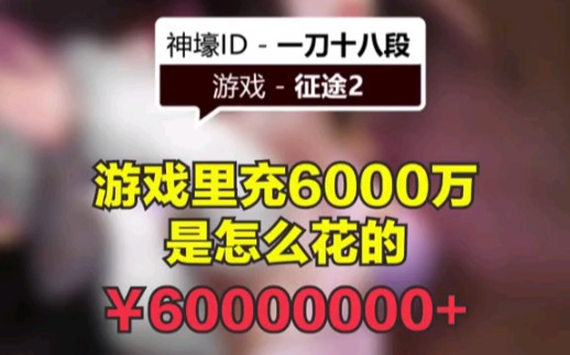 神豪一刀十八段在征途2里6000万是怎么花的?哔哩哔哩bilibili