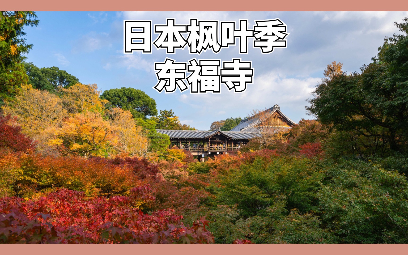 京都枫叶季散步,满眼一片红!大名鼎鼎的东福寺.哔哩哔哩bilibili