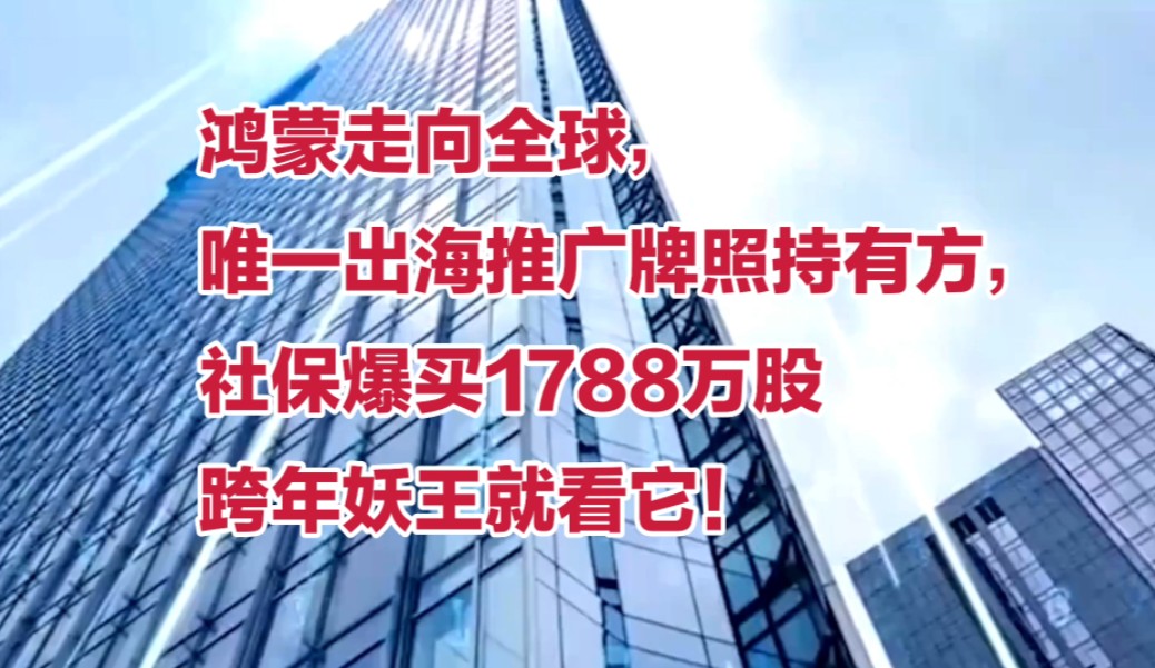 鸿蒙走向全球,唯一出海推广牌照持有方,社保爆买1788万股,跨年妖王就看它!哔哩哔哩bilibili