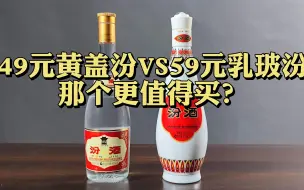 Download Video: 第31期：49元一瓶的黄盖玻汾与59元一瓶的乳玻汾，那个好喝？那个更值得买？