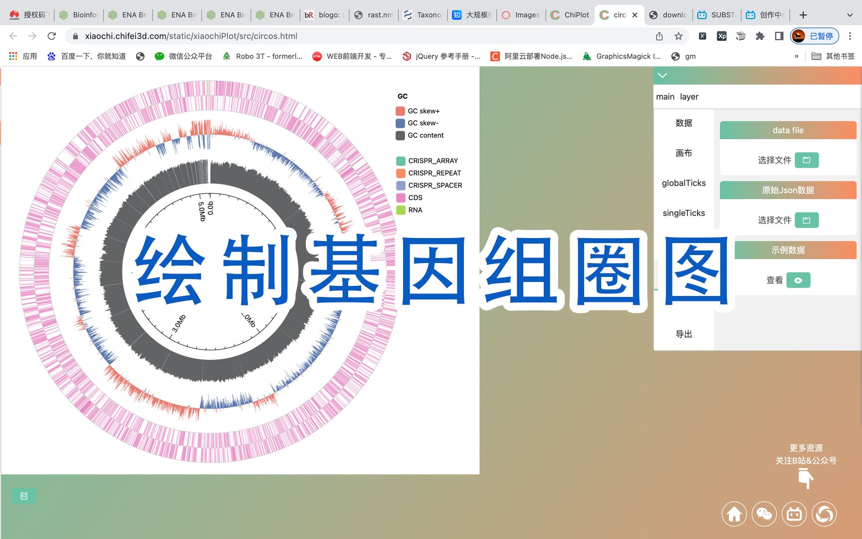 【ChiPlot】绘制基因组圈图哔哩哔哩bilibili