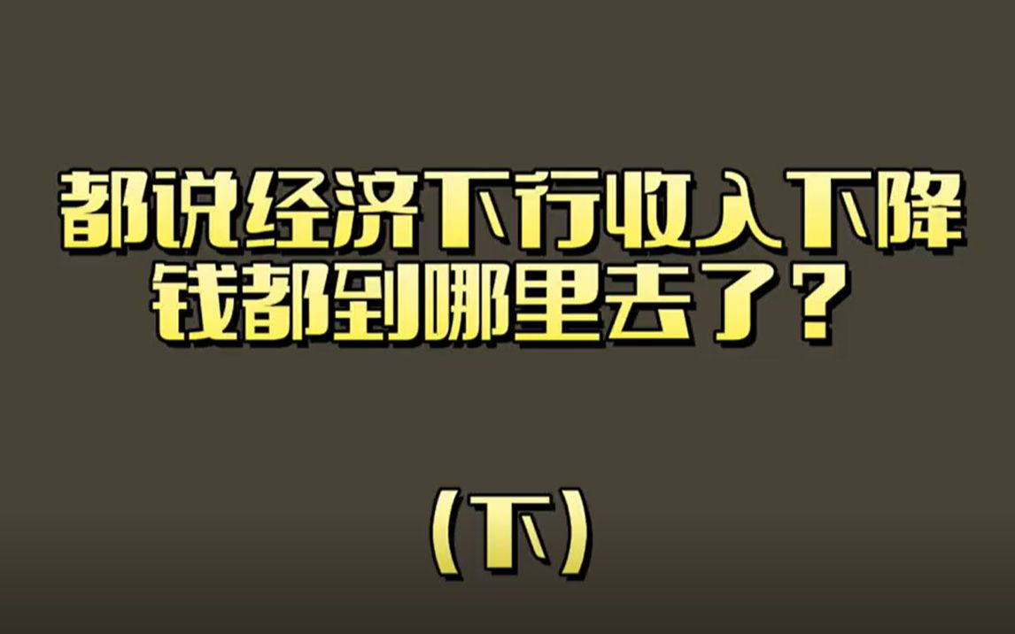 (下)都说现在经济下行,大家收入下降,那么钱都到哪里去了?哔哩哔哩bilibili