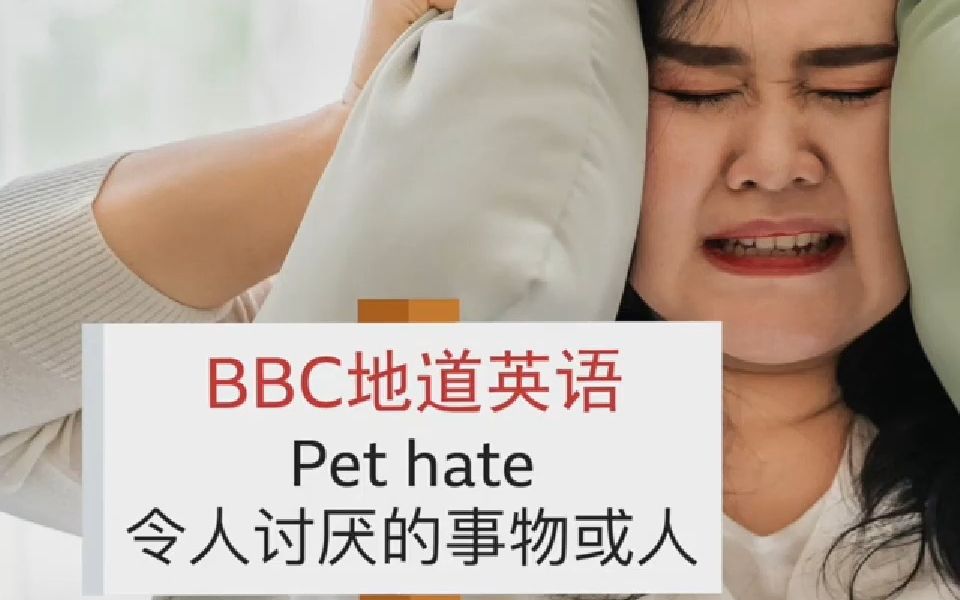 BBC3分钟地道英语 | 第十期 | Pet hate 令人讨厌的事物或人哔哩哔哩bilibili