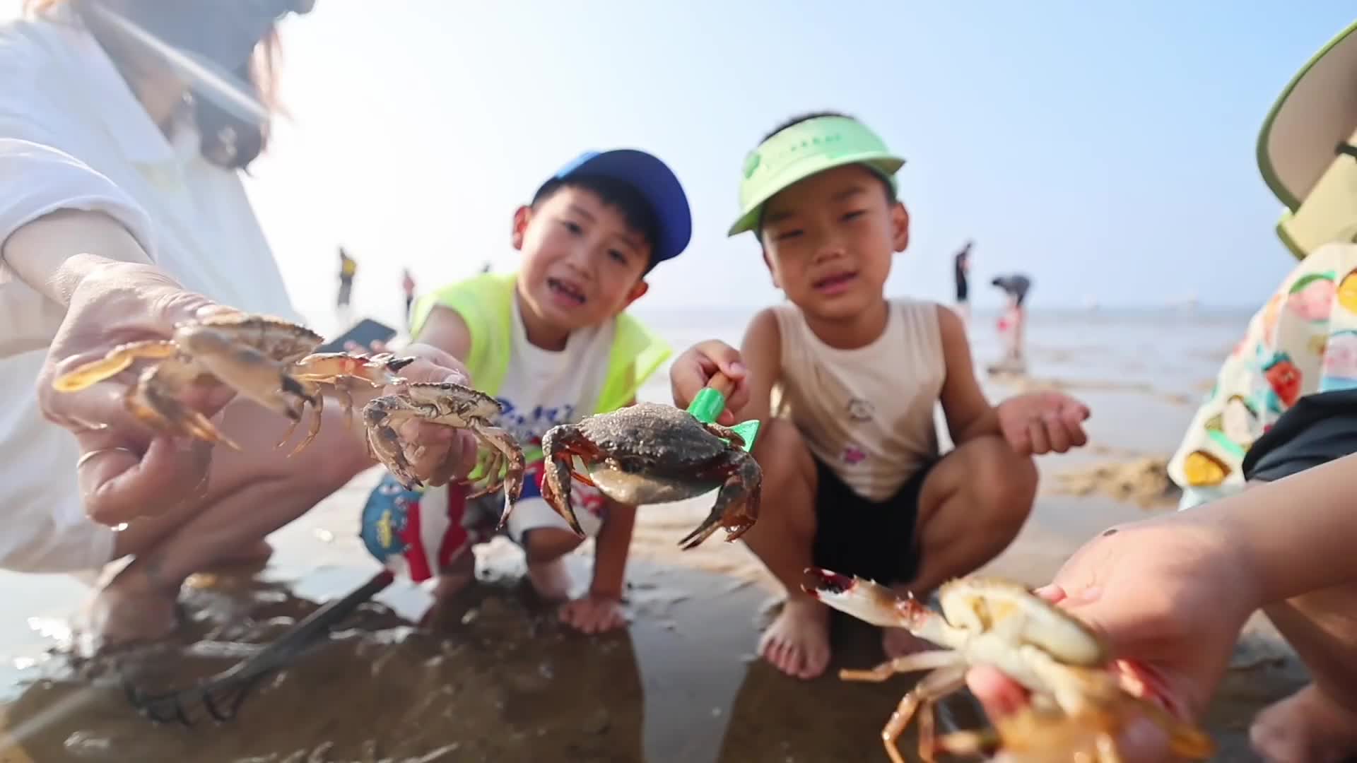 威海市:宝藏桑沟湾 赶海纳凉游