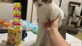 葱油饼】听说冬天的暖炉里会长猫_哔哩哔哩_bilibili