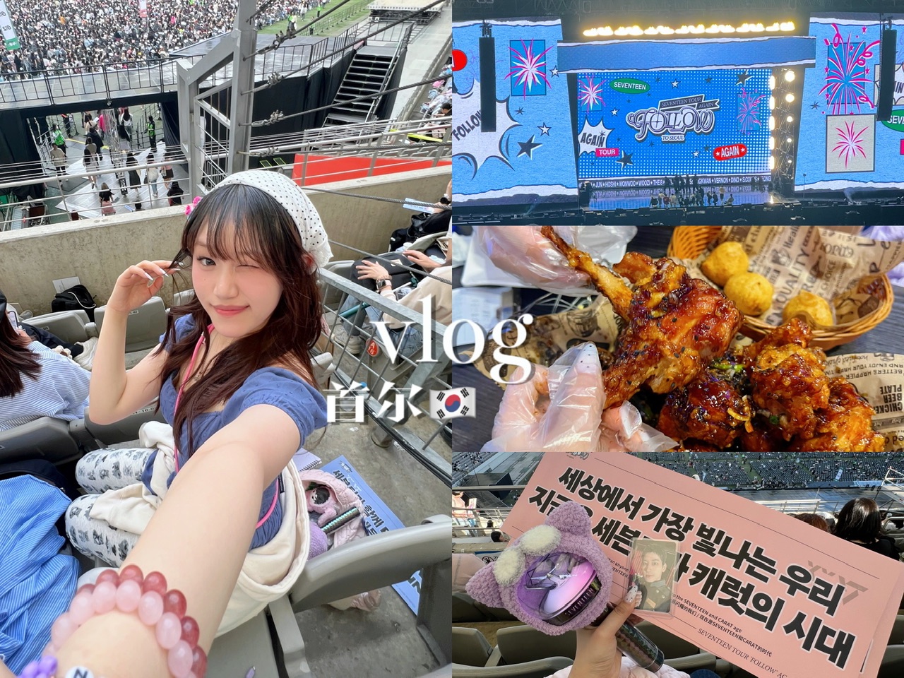 [图]【vlog 87】韩国🇰🇷首尔 第1次追星旅行 04女大 幸福日记//follow again