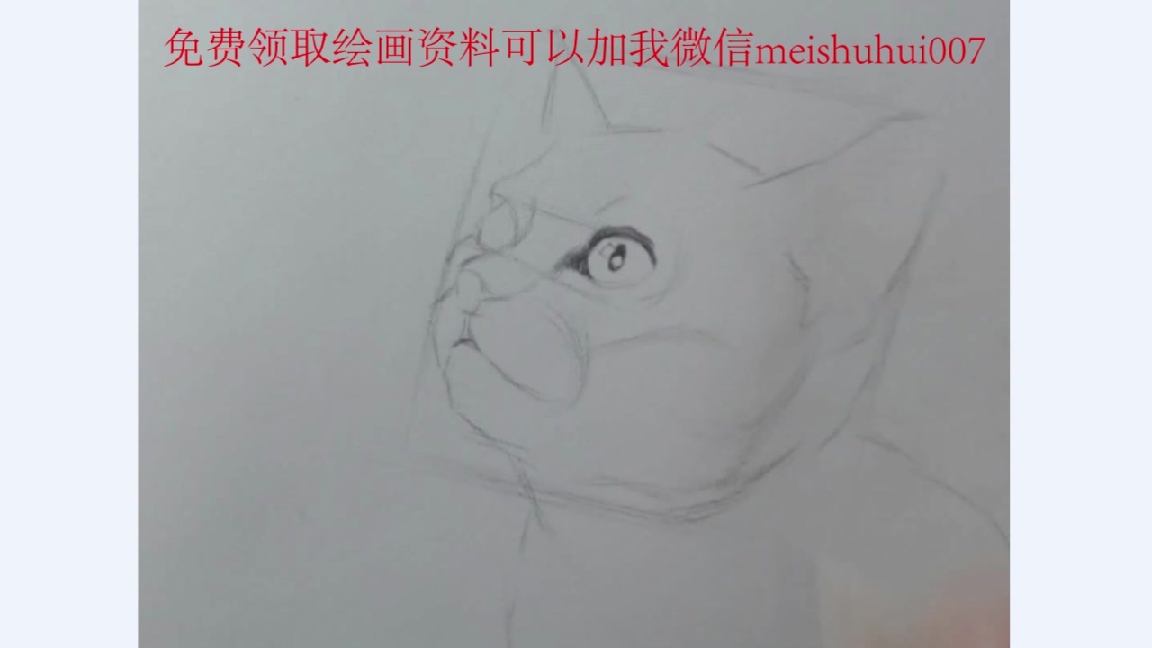 因为爱猫,所以画猫,理由就是这么简单哔哩哔哩bilibili