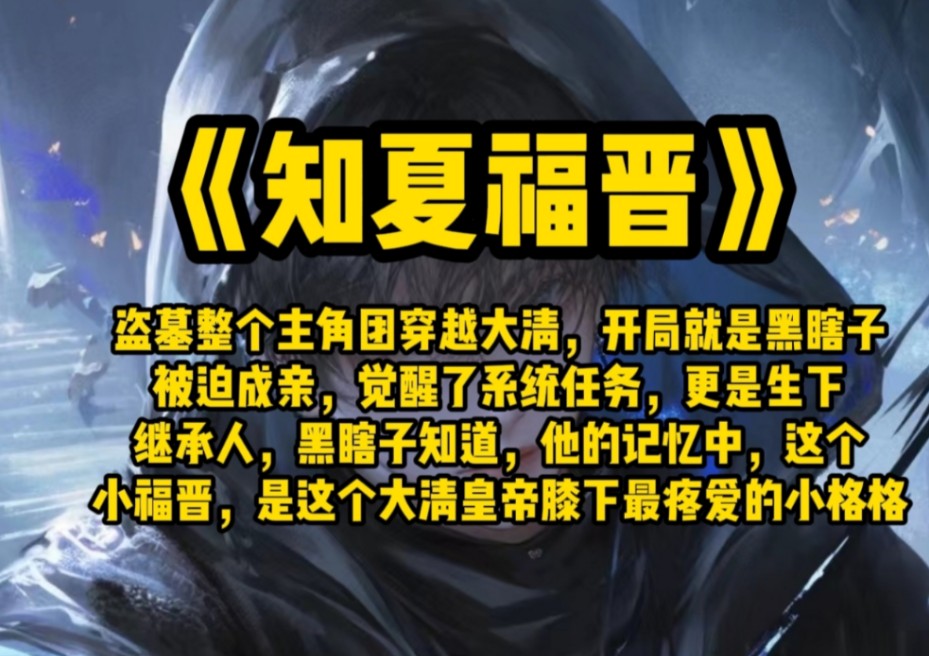 盗墓整个主角团穿越大清,开局就是黑瞎子被迫成亲,觉醒了系统任务,更是生下继承人,黑瞎子知道,他的记忆中,这个小福晋,是这个大清皇帝膝下最疼...