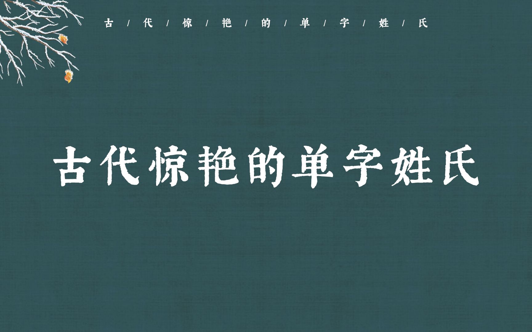 【中国姓氏之美】那些冷门惊艳的单字姓氏哔哩哔哩bilibili