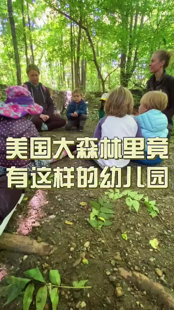 在美国,森林幼儿园到底是什么样的?哔哩哔哩bilibili