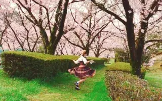 春に一番近い街 搜索结果 哔哩哔哩 Bilibili