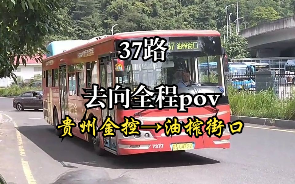 贵阳公交37路全程pov:贵州金控——油榨街口