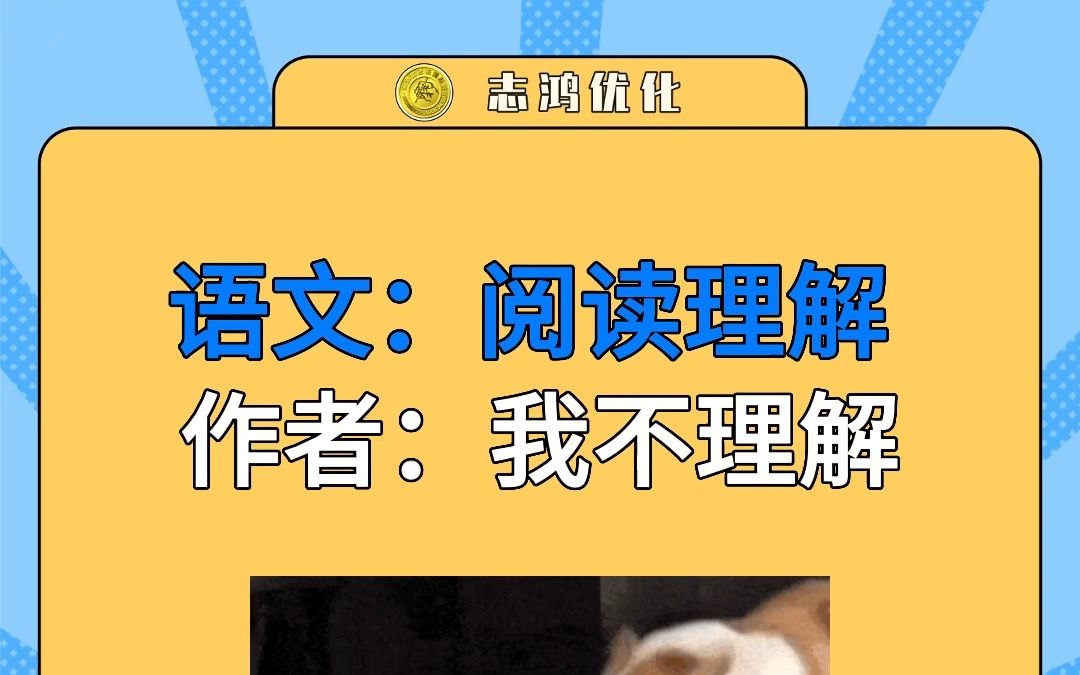 语文:阅读理解,作者:我不理解,你觉得呢?哔哩哔哩bilibili