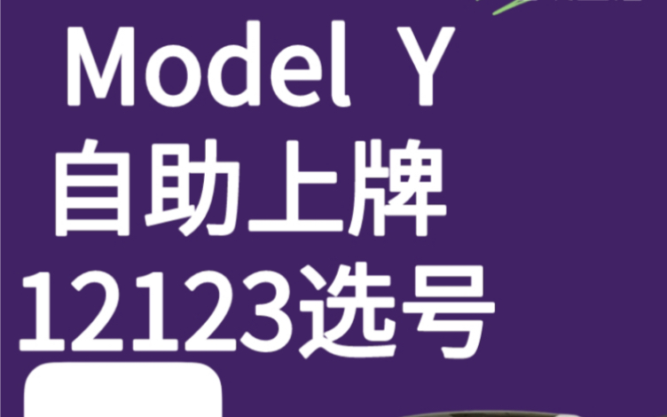 特斯拉自助上牌最细攻略,12123选随机自编车牌号,车管所50选1上牌.#特斯拉自助上牌 #12123选号 #150元上新能源汽车牌照哔哩哔哩bilibili