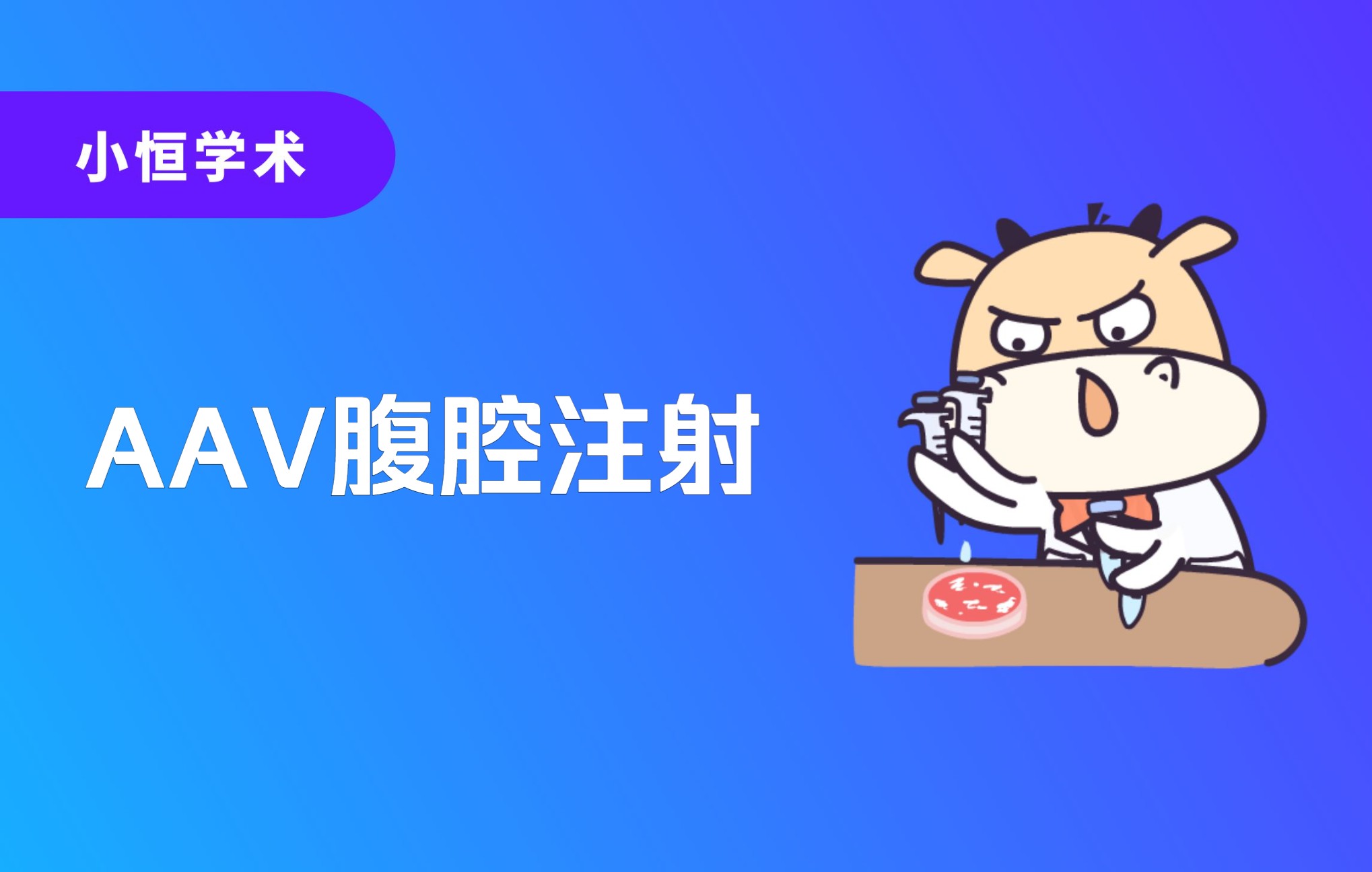 AAV腹腔注射哔哩哔哩bilibili