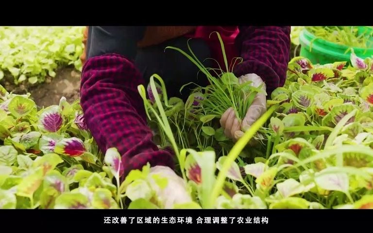 靖江市东南建材厂土地复垦哔哩哔哩bilibili