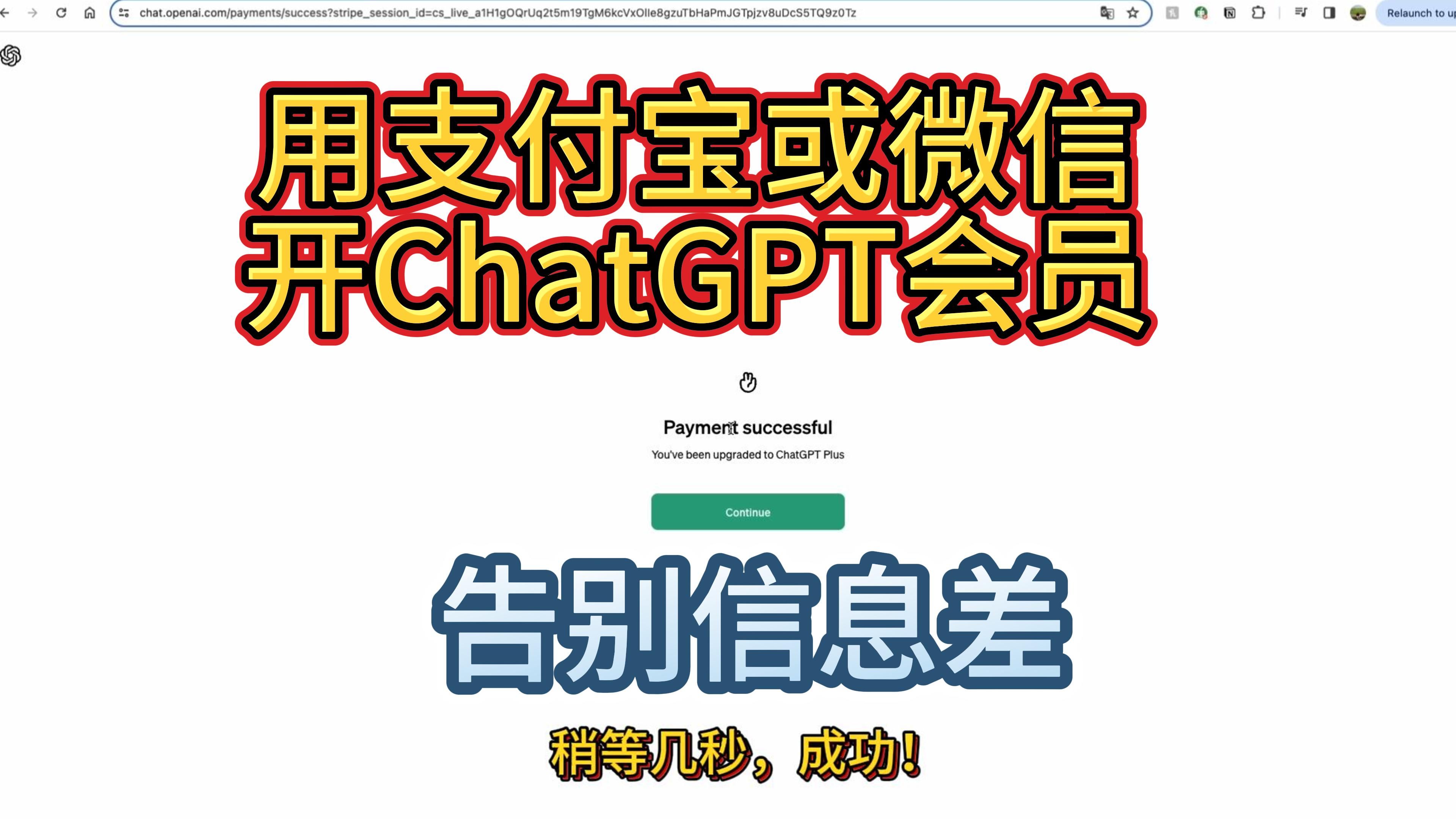 [拒绝信息差]2分钟学会用支付宝或微信开ChatGPT Plus会员亲测有效哔哩哔哩bilibili