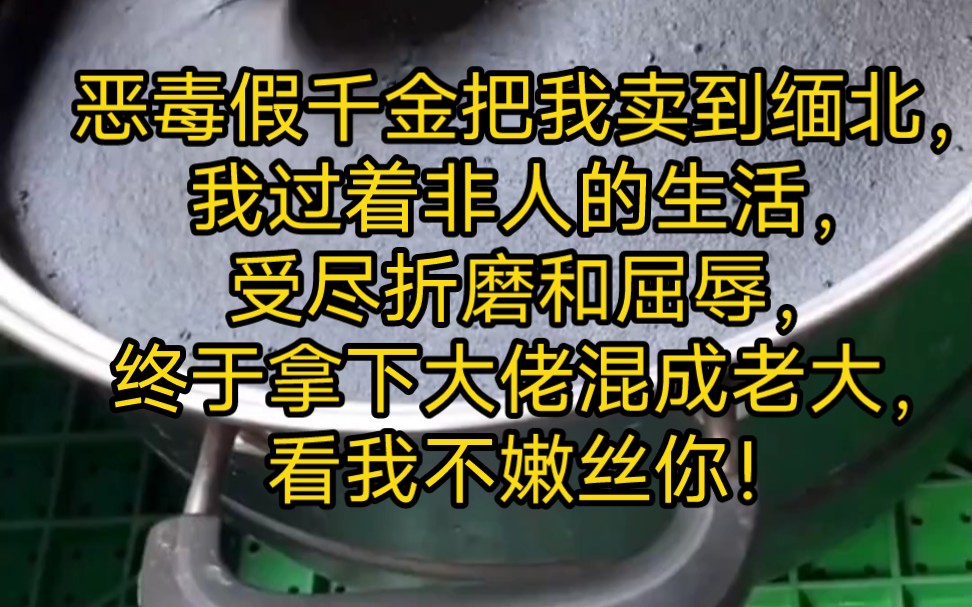 名,昔日囚笼,恶毒假千金把我卖到缅北,我过着非人的生活,受尽折磨和屈辱,终于拿下大佬混成老大,看我不嫩丝你!哔哩哔哩bilibili