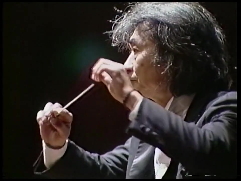 Brahms  Symphony No.4  Ozawa, Wiener Philharmoniker哔哩哔哩bilibili