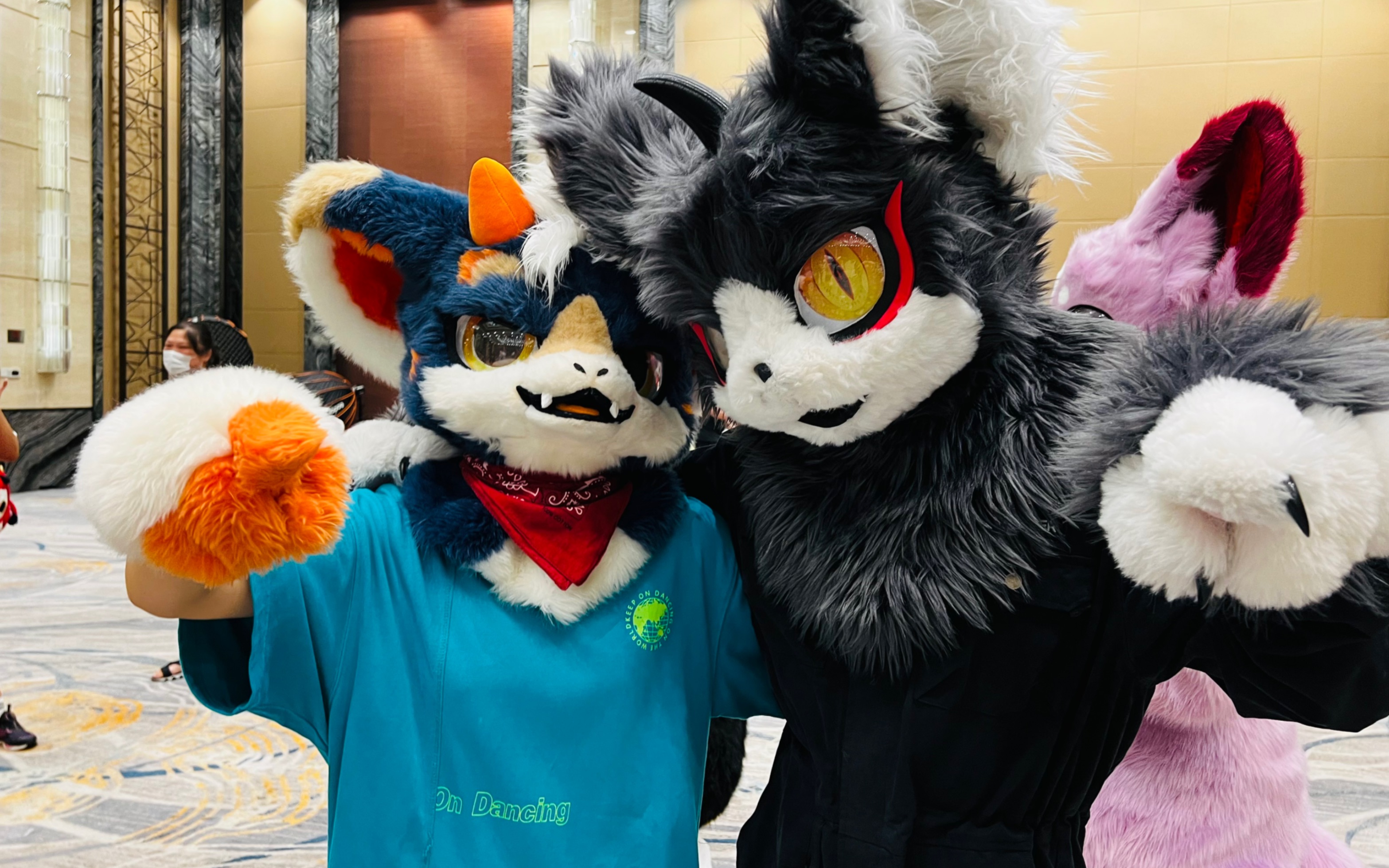 【fursuit dance 兽装舞蹈】极兽聚抓到同乡的后辈