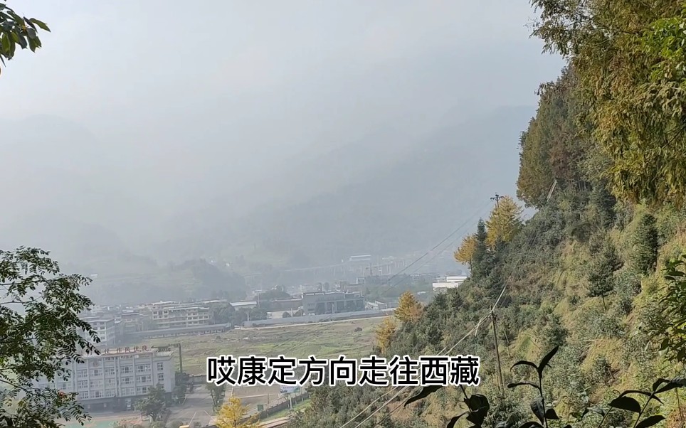 [图]站在这座城市茶山上，既能体验采茶过程又能看到市区景色，太安逸了