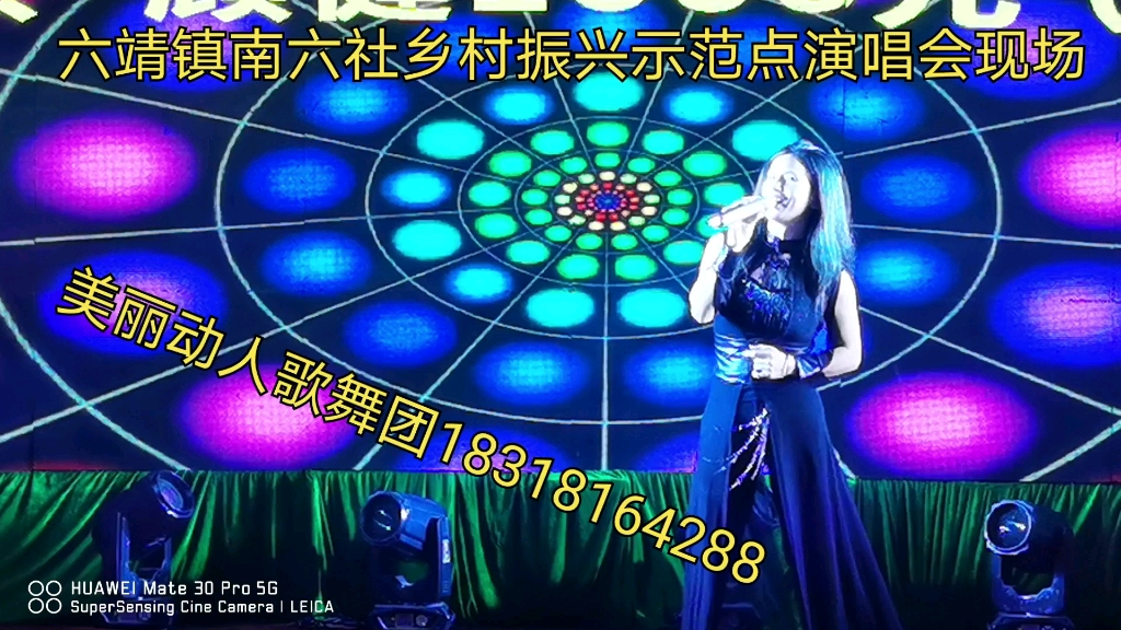 高州乡村振兴示范点年例演唱会