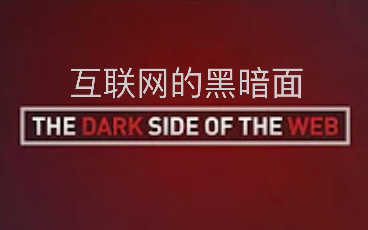 [图]【Lemmino】双语·互联网的黑暗面 The Dark Side Of The Web