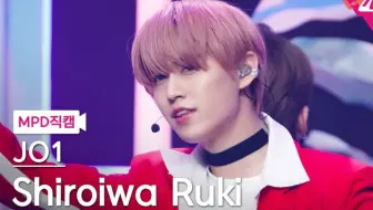 ご予約品 Jo1 Live 白岩瑠姫 Dvd アイドル Demolition Training