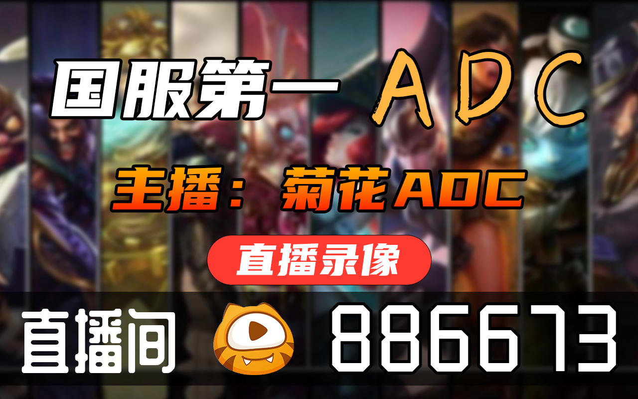 菊花ADC 20221114直播录像|直播回放|录播  菊花ADC