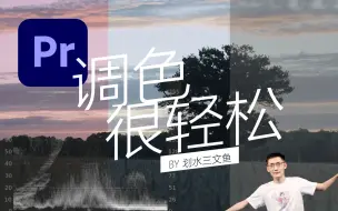 Download Video: 【调色很轻松】不得不提的PR调色思路