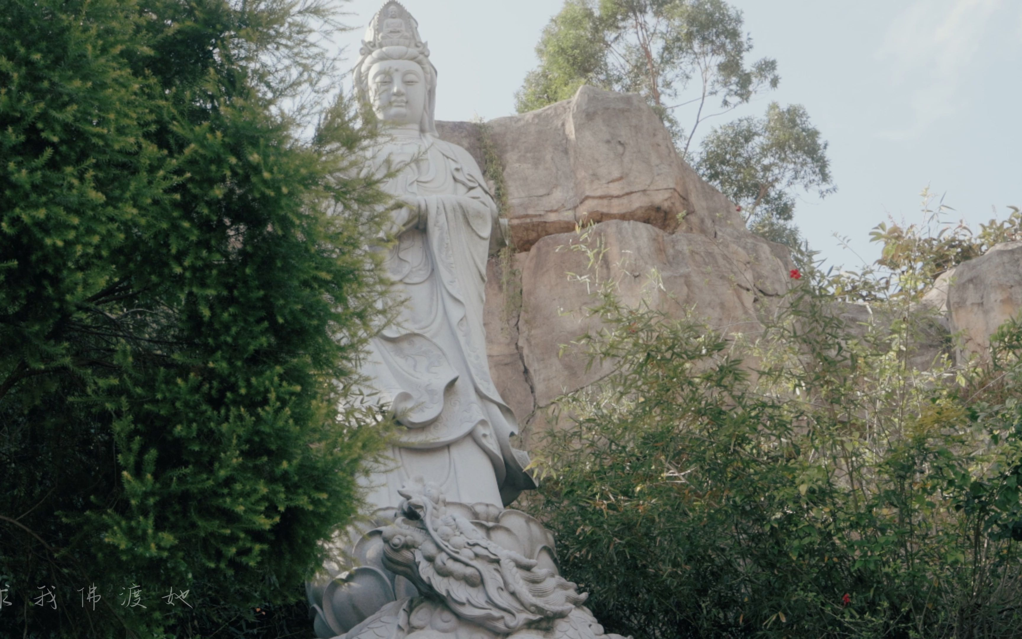 莲花山观音寺图片