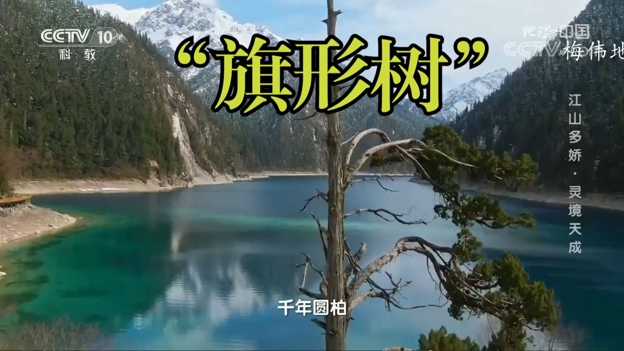 地理大气运动