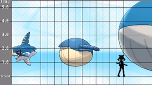 精灵宝可梦日月全图鉴情报种族技能梦特遗传 哔哩哔哩 つロ干杯 Bilibili