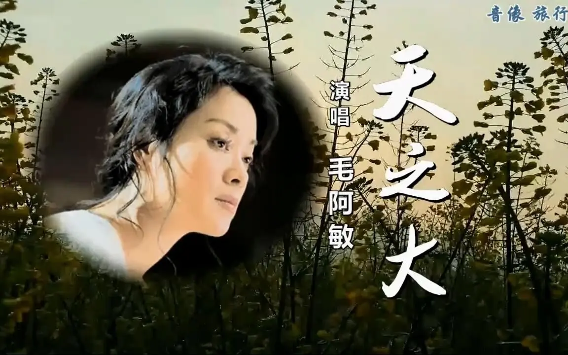 天之大-毛阿敏（自制原版伴奏）_哔哩哔哩_bilibili