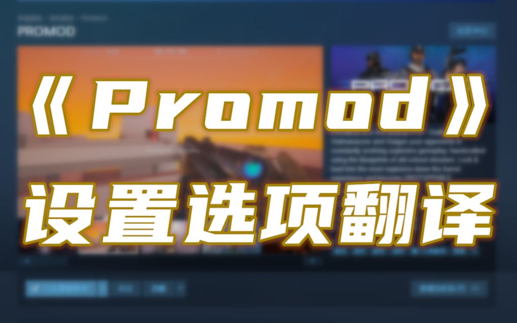 【PROMOD】游戏内设置选项中文翻译