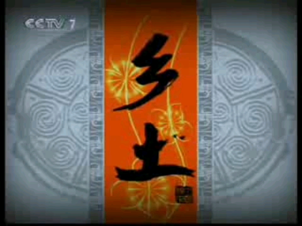 cctv7广告2005图片