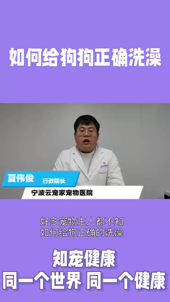 如何给狗狗正确洗澡哔哩哔哩bilibili