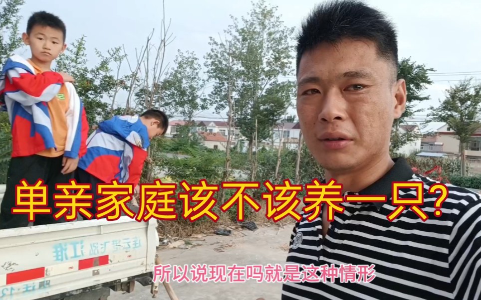 [图]敬爱的朋友们，关于我片头所说的，大家有什么建议?单亲家庭给孩子带来了不可逆的伤害，没和孩子说，但孩子有所察觉，每天和吸铁石一样跟着我，害怕我走了，可生活还要继续