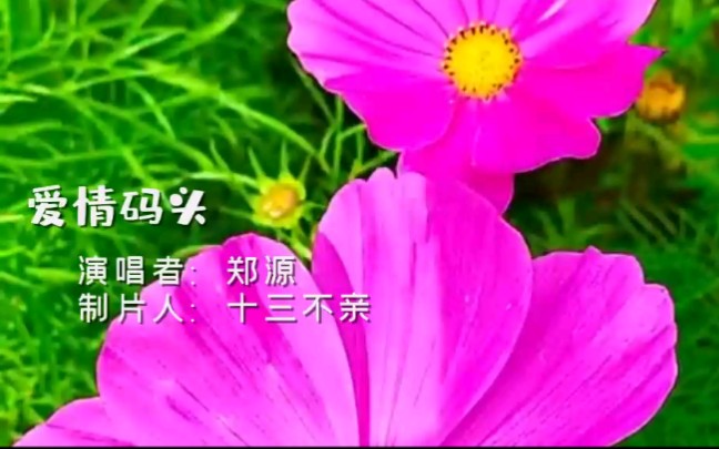 [图]自制视频音乐mv(郑源/爱情码头)