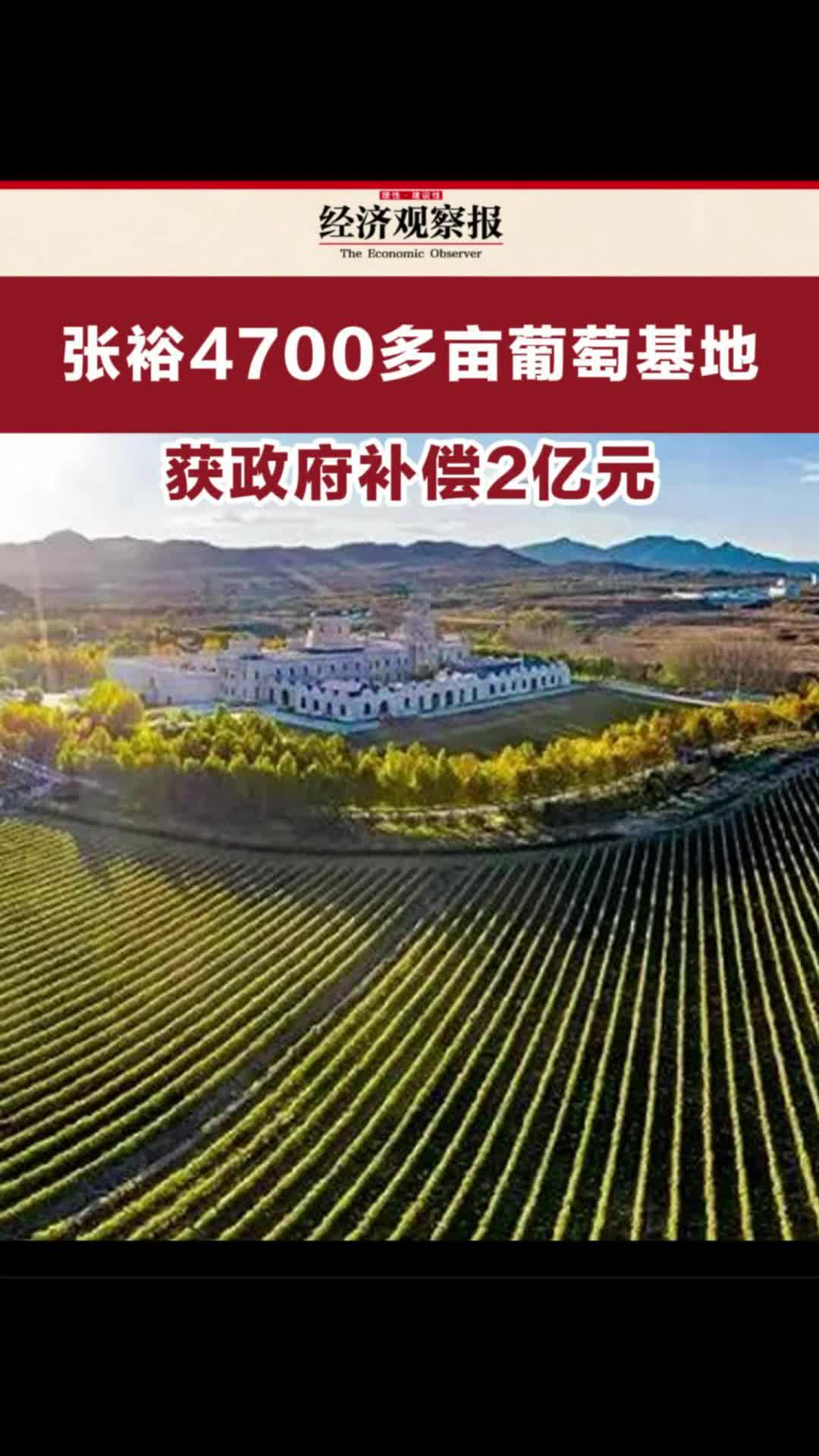 4700多亩葡萄基地,政府补偿了2亿元!哔哩哔哩bilibili