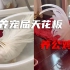 上海女子养公鸡当宠物走红 本人回应：呼吁大家理性养宠物 不盲目跟风