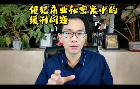 何国铭律师:涉嫌侵犯商业秘密?谈谈适用缓刑的问题哔哩哔哩bilibili