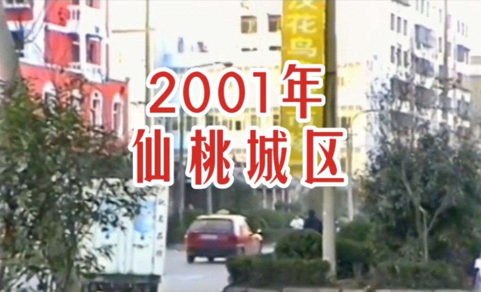 【时光记录】2001年 仙桃城区 二十三年前 花鸟市场 湖北省仙桃市历史景象珍贵旧影像哔哩哔哩bilibili