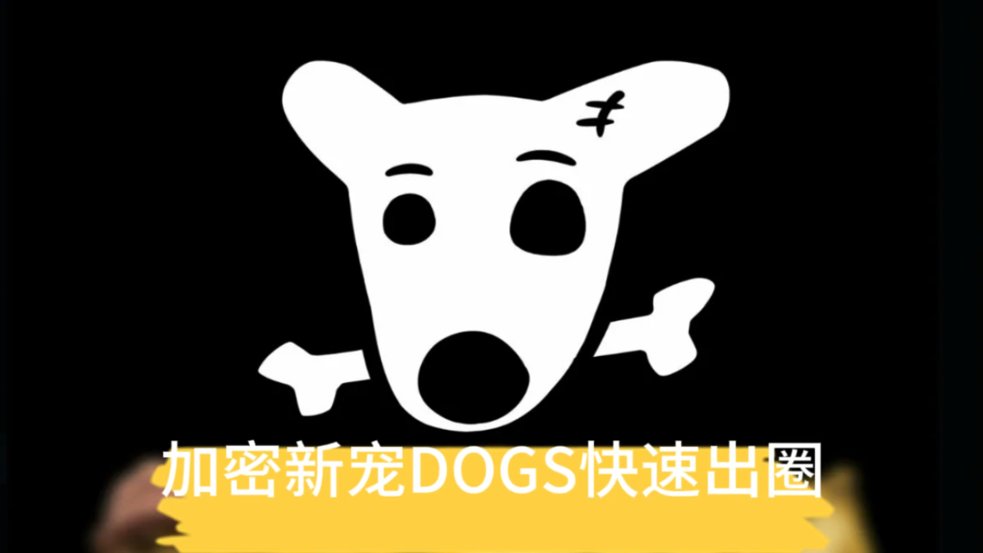 加密货币DOGS快速出圈分析哔哩哔哩bilibili