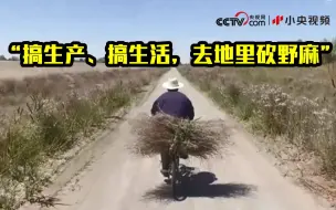 Descargar video: 新疆生产建设兵团搞建设竟然离不开罗布麻